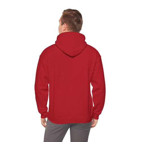 Young Mathematician  Hooded Sweatshirt