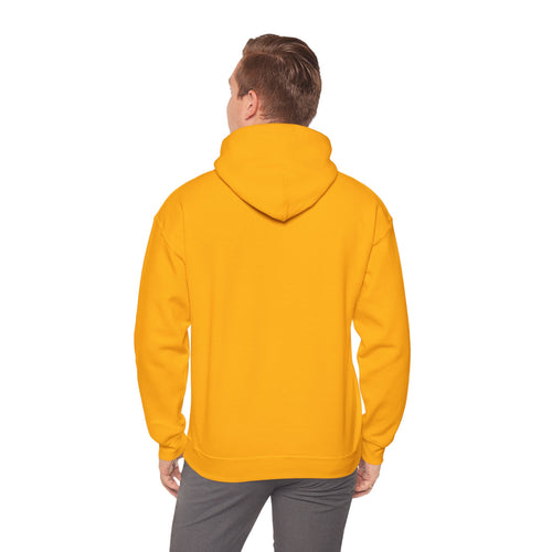 Young Mathematician  Hooded Sweatshirt