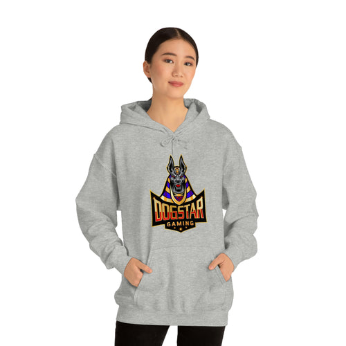 DogStar Gaming Grey Anubis Unisex Heavy Blend™ Hooded Sweatshirt