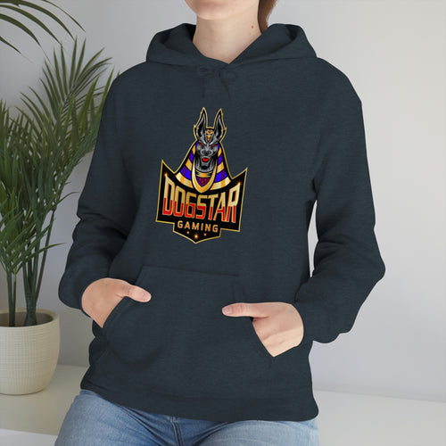 DogStar Gaming Grey Anubis Unisex Heavy Blend™ Hooded Sweatshirt