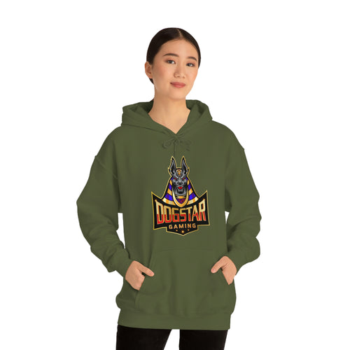 DogStar Gaming Grey Anubis Unisex Heavy Blend™ Hooded Sweatshirt