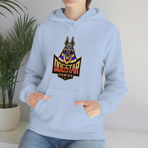 DogStar Gaming Grey Anubis Unisex Heavy Blend™ Hooded Sweatshirt