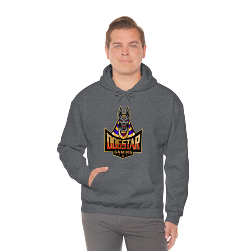 DogStar Gaming Grey Anubis Unisex Heavy Blend™ Hooded Sweatshirt