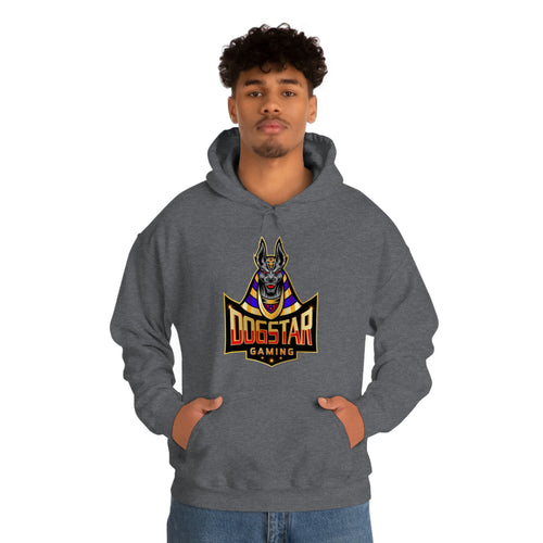 DogStar Gaming Grey Anubis Unisex Heavy Blend™ Hooded Sweatshirt