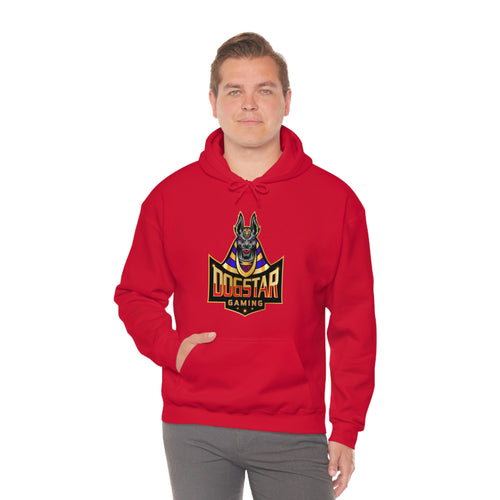 DogStar Gaming Grey Anubis Unisex Heavy Blend™ Hooded Sweatshirt