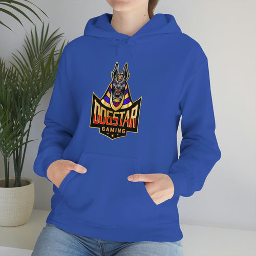 DogStar Gaming Grey Anubis Unisex Heavy Blend™ Hooded Sweatshirt