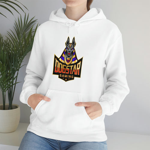 DogStar Gaming Grey Anubis Unisex Heavy Blend™ Hooded Sweatshirt