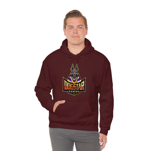 DogStar Gaming Grey Anubis Unisex Heavy Blend™ Hooded Sweatshirt