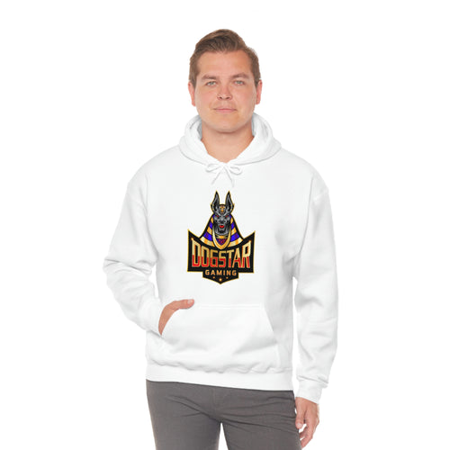 DogStar Gaming Grey Anubis Unisex Heavy Blend™ Hooded Sweatshirt