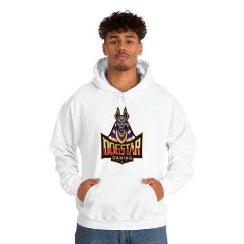 DogStar Gaming Grey Anubis Unisex Heavy Blend™ Hooded Sweatshirt