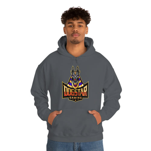 DogStar Gaming Grey Anubis Unisex Heavy Blend™ Hooded Sweatshirt