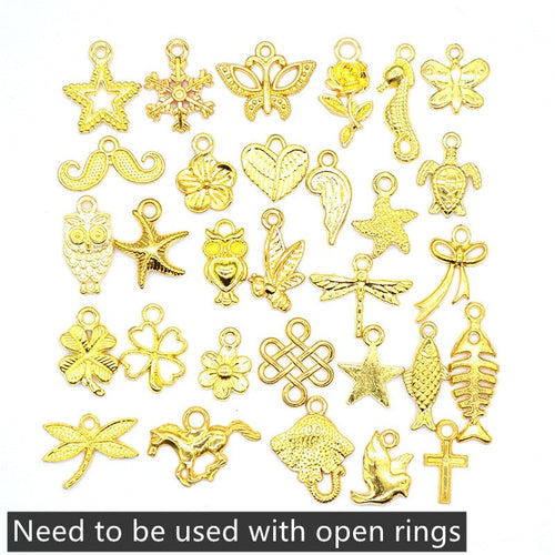 30Pcs/set  Loc Beads Animals Heart Leaf Flower Charms Rings