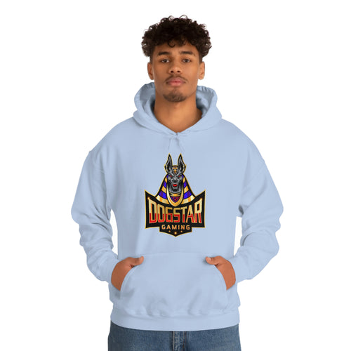 DogStar Gaming Grey Anubis Unisex Heavy Blend™ Hooded Sweatshirt