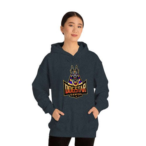 DogStar Gaming Grey Anubis Unisex Heavy Blend™ Hooded Sweatshirt