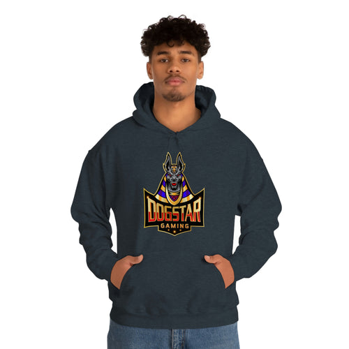 DogStar Gaming Grey Anubis Unisex Heavy Blend™ Hooded Sweatshirt