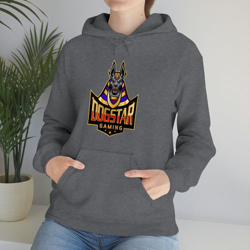 DogStar Gaming Grey Anubis Unisex Heavy Blend™ Hooded Sweatshirt