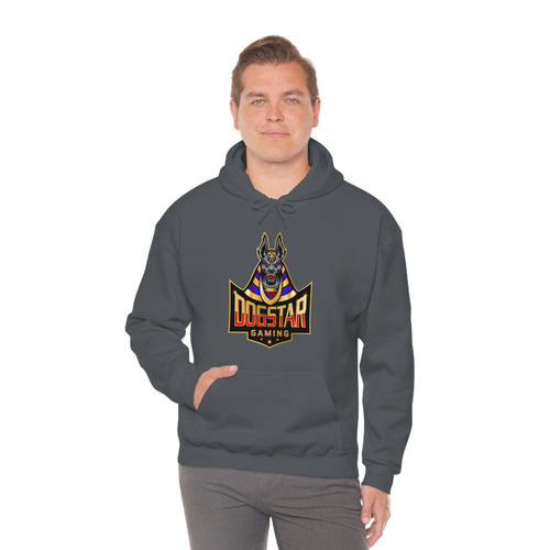 DogStar Gaming Grey Anubis Unisex Heavy Blend™ Hooded Sweatshirt